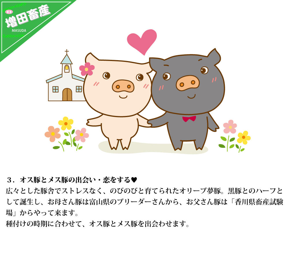 オス豚とメス豚の出会い・恋をする