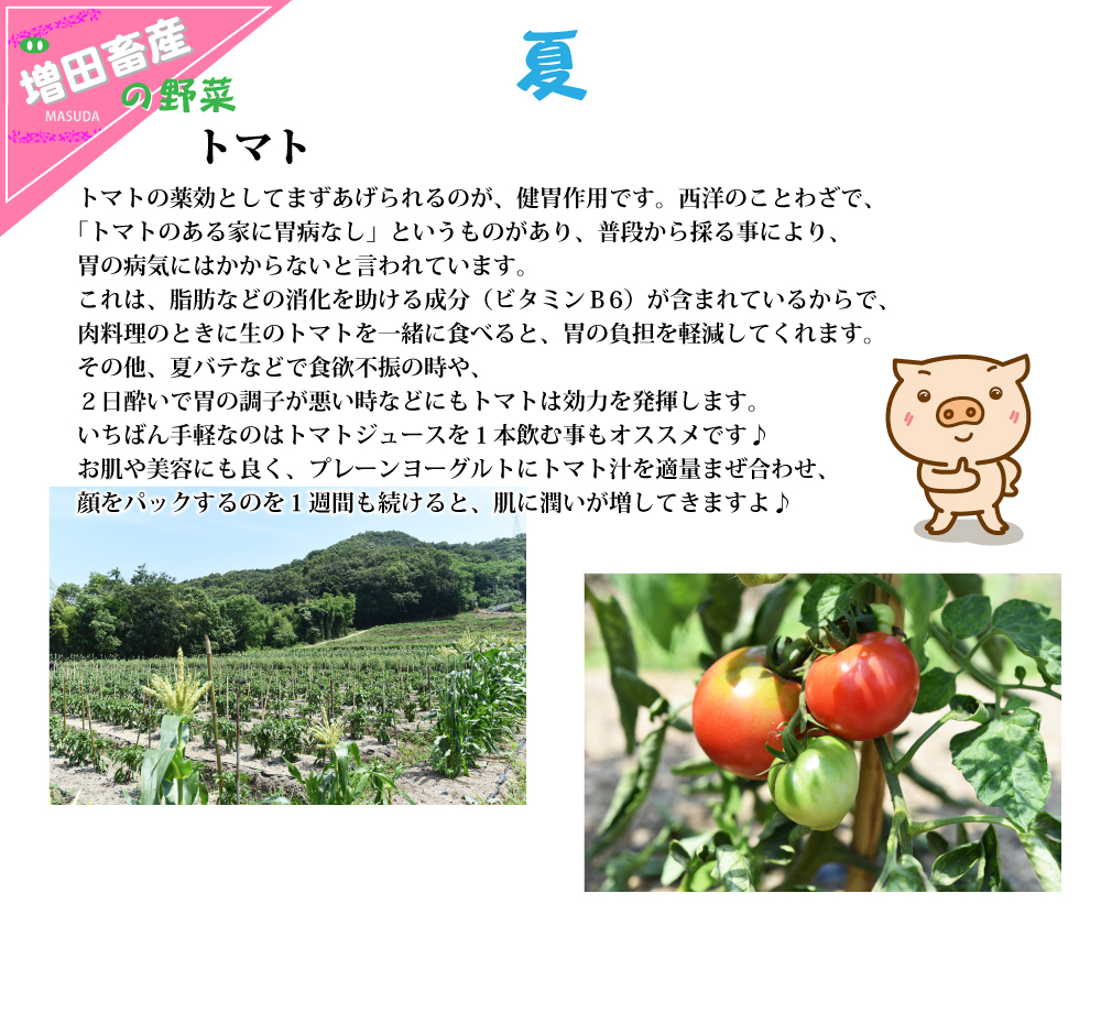 夏の野菜　トマト
